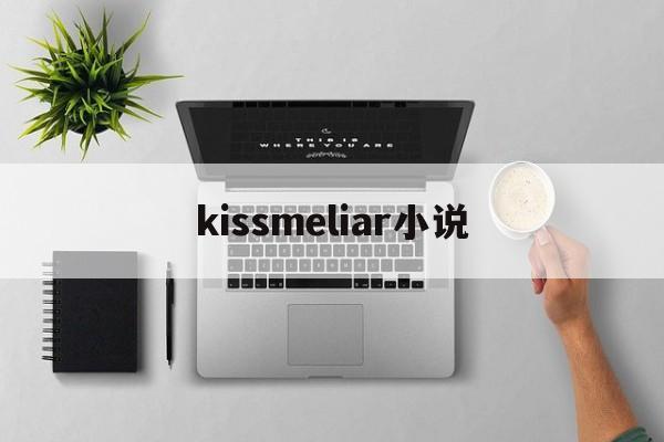 kissmeliar小说(kissme和奇士美是不是一回事)